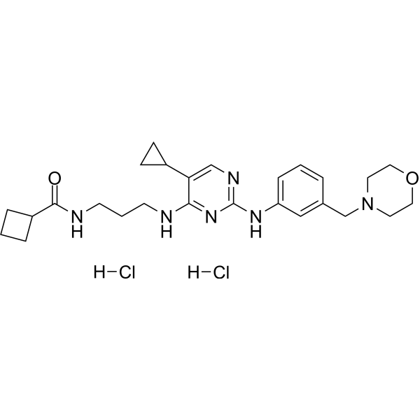 MRT67307 dihydrochloride 1781882-89-0